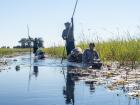 Boating in the Okavango Delta