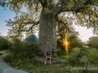 We sat under these special trees whenever we could