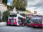 Local buses (photo credit: Google Images)