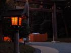 Meiji Jingu is a massive park located right in the heart of Tokyo