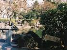 A full-on fishing pond stands just a few minutes away from Nakano station