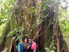 In front of a very old tree in the primary forest at the research station 