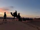 During our trip to the Sahara Desert, our guides were a part of the Amazigh community 