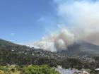 Table Mountain in South Africa catches fire several times per year