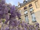 Flowers growing in the heart of the city!