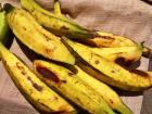Plantains before they are peeled and cooked
