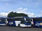 "Lumaca" is the bus I would take on a regular basis to get from Cartago to San Jose