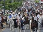 This picture shows how big the horse parades really are!