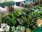 Food all grown in Thailand!