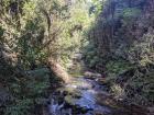 The hike to the Glowworm Caves was almost as beautiful as the caves themselves