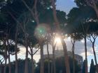 A view of Castle St. Angelo on my walk to school, surrounded by pine trees