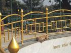 This macaque is resting on the edge of a fountain at the "Monkey-Temple"