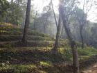 These steps built into the hill are called terraces and is one way people farm in Nepal