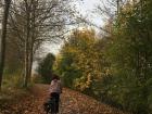 Bike rides along the Saar river