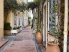 This was the "Little Greece" street in Antibes that was all Greek immigrants and Greek plants