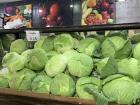 Cabbage at a local vendor, and it is only 25 cents!