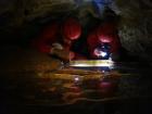 During my job going to caves, I went to this one specifically to look for a very rare pillbug!