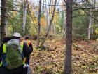 Hiking to the peatlands