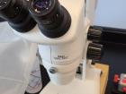 This is the first microscope (75x zoom). I look at my entire sample with it