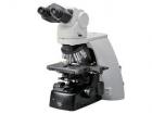 This microscope allows me to look at tiny details of the mites
