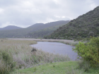 An image of the Darby River in the morning