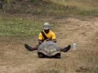 Taking a picture of a Galápagos giant tortoise on Santa Cruz Island, Galápagos