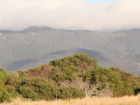 This is the study area where we capture kangaroos