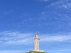 If you look closely at the bushes on the hill below the tower you can see green toxo bushes with yellow flowers. 