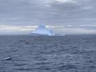 An iceberg I saw near the Falkland Islands