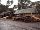 The steam-powered sawmill I worked at during the summers