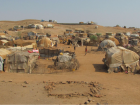 This shows conditions at a Somali refugee camp in Eritrea, Horn of Africa