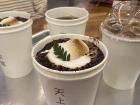 Korean cafes are on top of the aesthetics!
