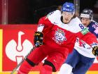 Libor Sulak, Czech Hockey Player on the National Czech Team