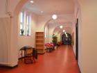A typical hallway at school - so many cute plants!
