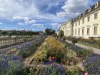 The gigantic flower garden!