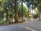 My favorite park, close to my house / Mi parque favorito, cerca de mi casa