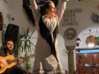 A flamenco dancer / Una bailarina de flamenco
