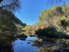 A creek on our hike / Un arroyo en nuestra camino 