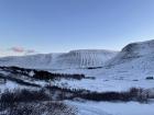 The view from my snowy hike