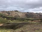 Fragile, slow-growing moss in the highlands of Iceland