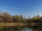 Seoul Forest Park