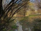 A stream that I saw in one of the parks of Seoul Forest