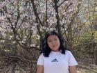 Taking a picture with the cherry blossoms in bloom