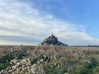 Mont Saint Michel is an old abbey with a town built around it; when the tides rise at night, it becomes an island!