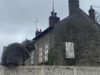 A stone house in Normandy featuring my friend's cat!