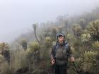 Hiking in the special paramo ecosystem of Colombia