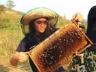 Working with one of my favorite insects, bees