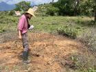 Me standing on a leafcutter ant hill trying to spot princess Atta laevigata ants emerging