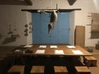 Nest exhibit in the ludoteca