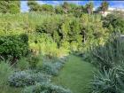 A wide picture shot of the Buddhist Garden, which was mostly grassy